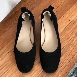 Everlane Day Heel black suede